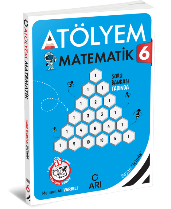 Arı Yayınları 6. Sınıf Matematik Atölyem